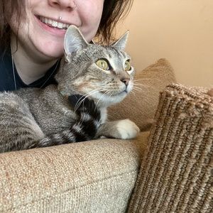 Meet your Posher, Amanda